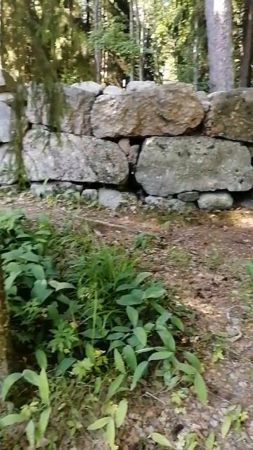 Стена парка Монрепо. Материал для ограды – дикие валуны и куски гранита смотреть онлайн