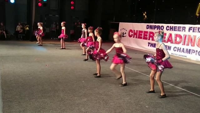 Кубок Днепропетровской области по ЧИРЛИДИНГУ, 17.11.2018г. смотреть онлайн