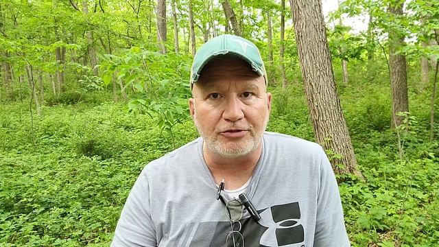 Hobo Spider bite and Information смотреть онлайн