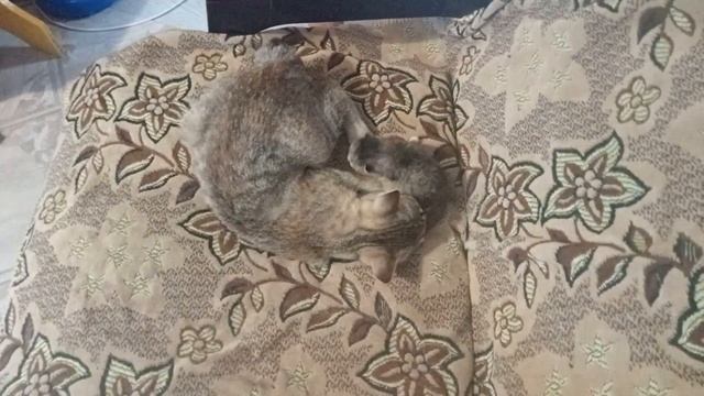 взаимовыручка....