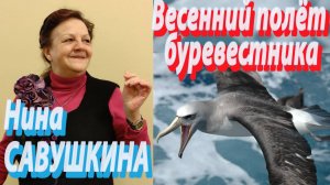 Нина Савушкина - Весенний полёт буревестника