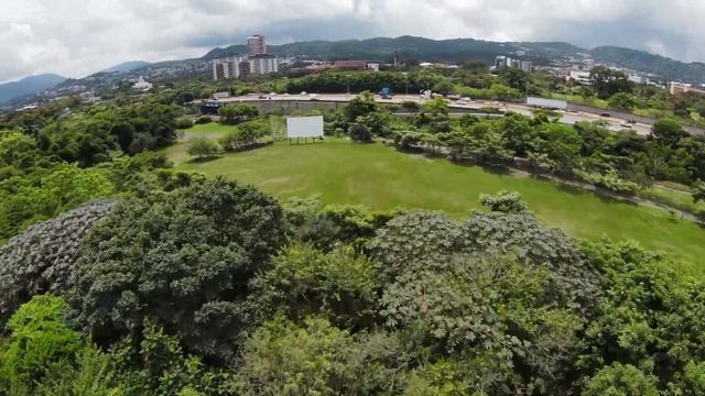 DJI FPV | FLYING OVER TREES drone camera 4K 60FPS H265 MOV ROCKSTEADY смотреть онлайн