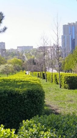 Бульвар Шевченко сегодня