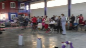 Посадский Страж Инара