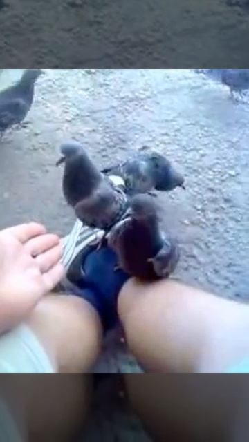 А ТЕПЕРЬ ГОРБАТЫЙ Я СКАЗАЛ ГОРБАТЫЙ !!!!
