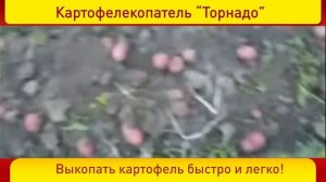 Картофелекопатель Торнадо