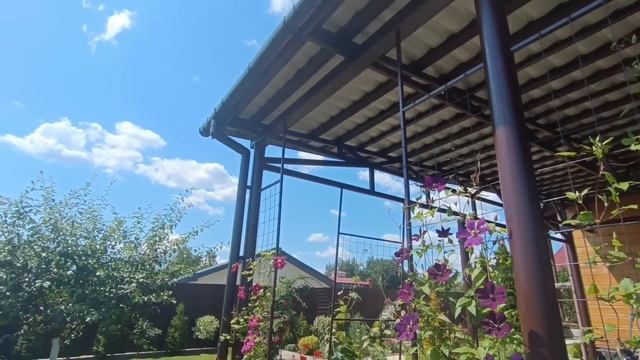 Июньский ОБЗОР сада- что РАСТЕТ, что ЦВЕТЕТ/ делаем ПОЛ в БЕСЕДКЕ)) смотреть онлайн