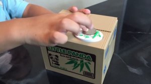 Money Box Little Panda.  Копилка -  игрушка. Маленькая панда- воришка.