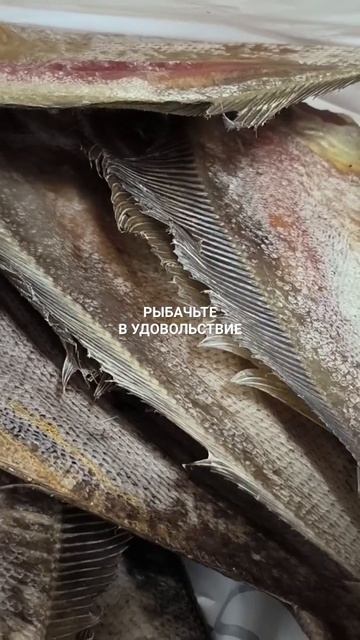 Вяленый ёрш для Бориса из Мурманска.