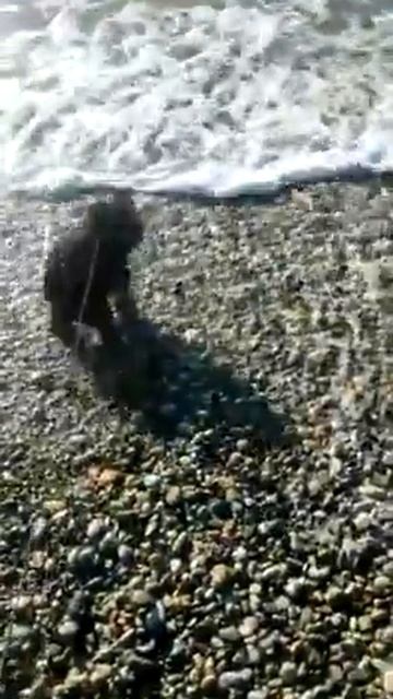 Лейла в первый раз видит море смотреть онлайн