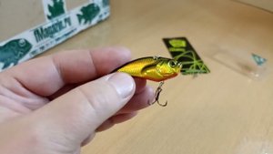 Распаковка посылки с блесной Generic Craft Lumen по заказу Fmagazin
