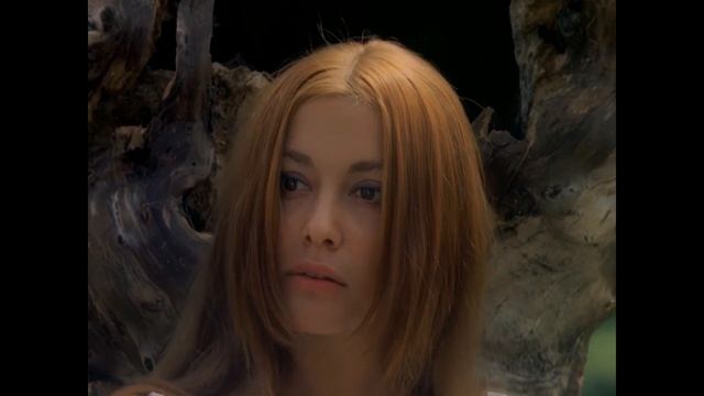 Нема душі чистішої чим     Пропала Грамота shorts