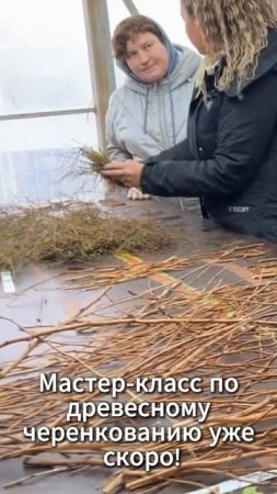 Приглашаем вас на мастер-класс на Фабрику растений Никитенко 29 апреля