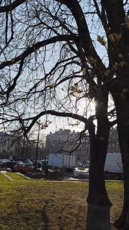 #апрель #весна #питер