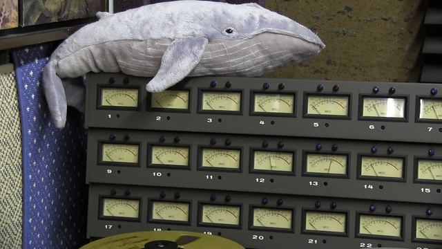 Felini Calypso short  2020 12 03 Gh sf mf dua + bass 018 first pass смотреть онлайн