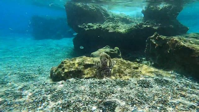 Подводный мир Крита. Крылатка смотреть онлайн