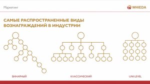 ☘️ Whieda_063 ☘️ МАРКЕТИНГ-ПЛАН Whieda за 8 минуточек💰