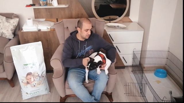BONACİBO KÖPEK MAMASINI İADE ETTİM | DERİ PROBLEMLİ KÖPEKLERDE TÜY DÖKÜMÜ