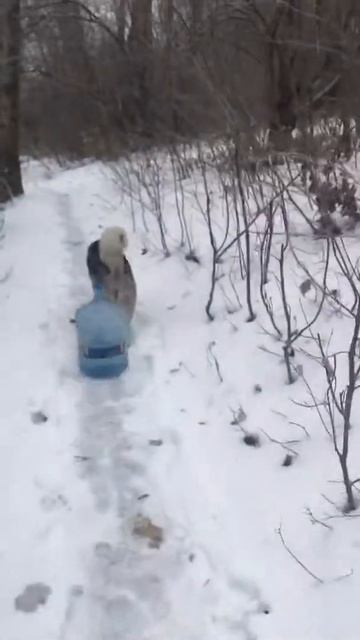 trim D47DD71B B6E6 4AED 85AC 3C6BB6C015C9