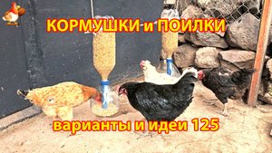 Кормушки курам подвесные из бутылок 2 и 5 л понравились несушкам