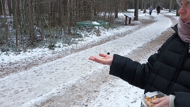 Ягры 2дек 2022(3) смотреть онлайн