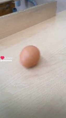 Яичко