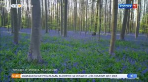 Елена Николаева Утро России Эфир от 22.04.2019