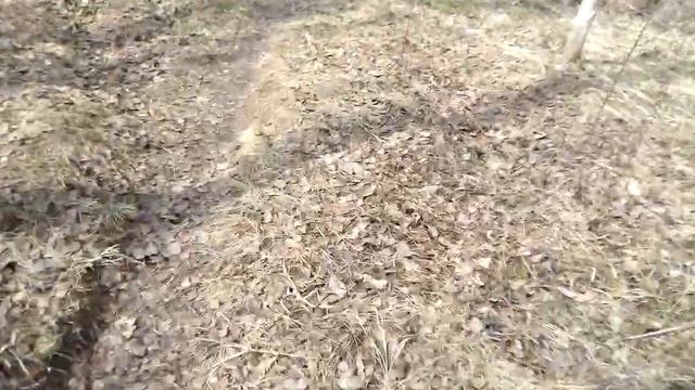 подснежники часть 2 смотреть онлайн