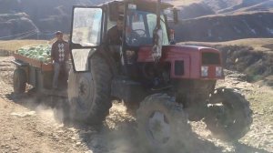 Трактор ЛТЗ 60 буксует В Подъёме с Прицепом