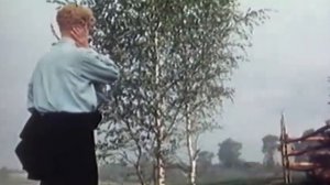 Не ругайте меня, бабоньки