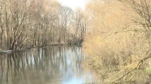 Ой, туманы мои растуманы