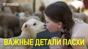 Важные детали Пасхи / Проповедь г. Калуга, церковь "Скала"