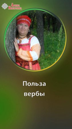 Польза Вербы. Свойства и применение | Арина Никитина