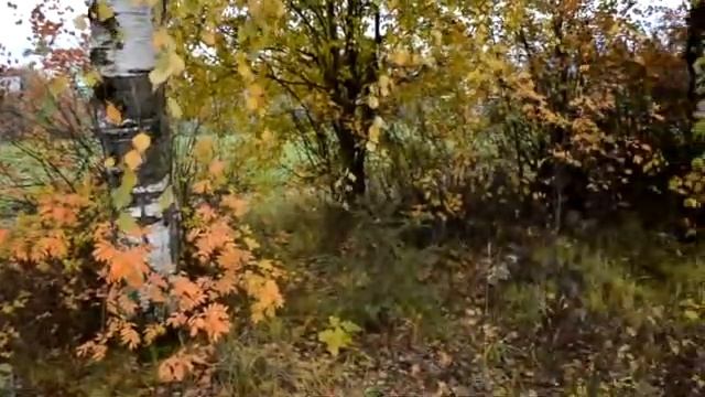 д. ЕРМОЛОВО ПОСЕЛОК МАЙСКИЙ