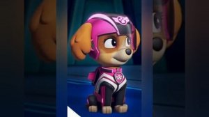 Щенячий патруль свити Скай Эверест(1)