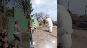 Поздравление от белого мишки в Оренбурге .mp4