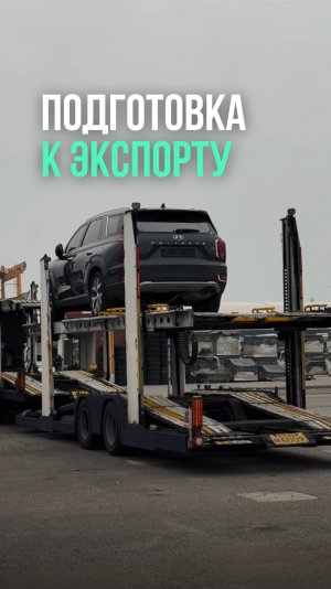 Весь процесс подготовки авто к экспорту 📑🚢