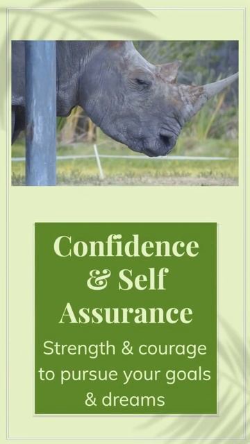 The Majestic Rhinoceros Spirit Animal of Power and Resilience! #shorts #shortvideo #rhinoceros