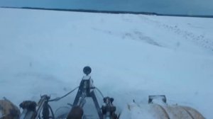 пробиваем дорогу на Боброво к 700А отвал бабочка 15.01.2022