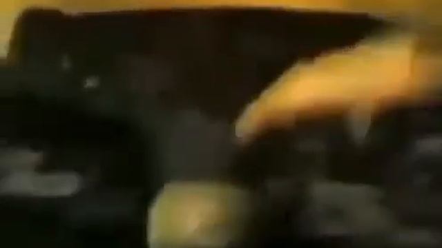 Приколы смотреть онлайн