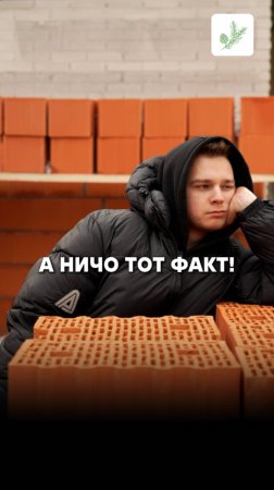 Когда вроде решил взять квартиру в городе, но голос разума включился на полную 😂
