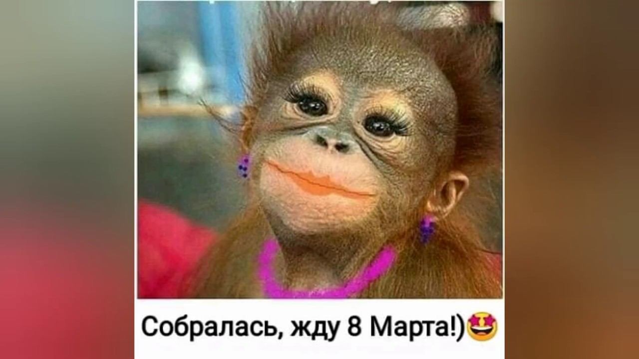 Весна идёт, весне дорогу! С наступающим нас) смотреть онлайн