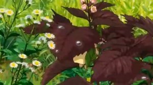 Ариэтти из страны лилипутов