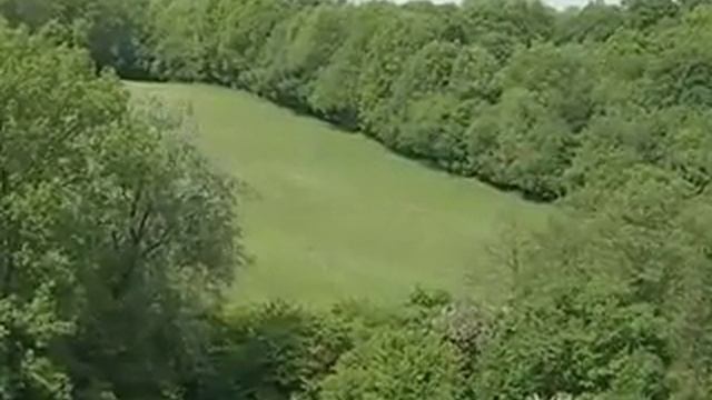 The story of fields and heaths in the High Weald смотреть онлайн