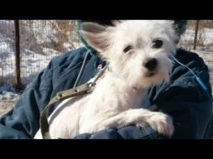 Нашли изрезанного в подьезде