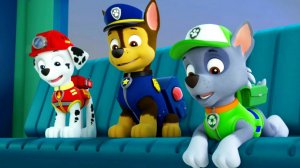 Щенячий патруль: Мега-щенки спасают Бухту Приключений, Миссия #3 - Найди Цыполетту