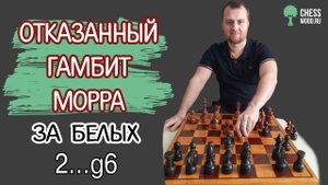 Отказанный гамбит Морра за белых с ходом черных 2...g6