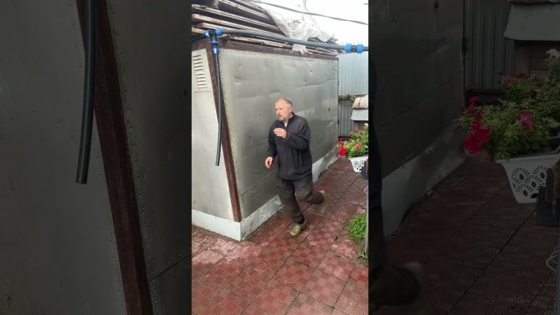 Подсмотрел у Лены Самчук. Собаки в съемках не участвовали. #приютхвостатоесчастье #будниприюта