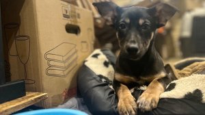 I Tried Waking Up at 6am for 30 Days Here's What Happened