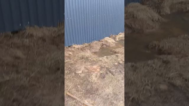 На Верхнемостовой полный порядок.
Территория благоустроена.
Никаких нарушений не выявлено